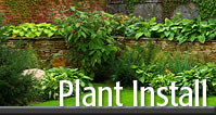 Plant Installation
